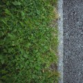 Concrete vs. Asphalt: A Detailed Comparison for Homeowners