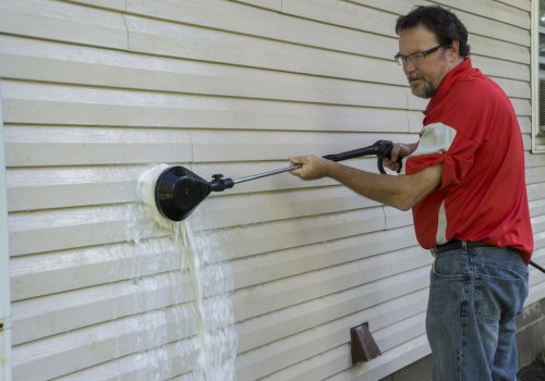 How to Effectively Remove Black Streaks and Mold from Your Home's Exterior